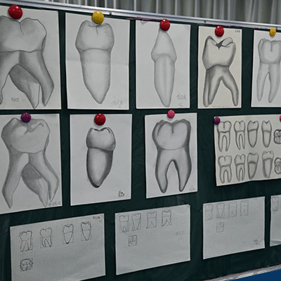 口腔修复工艺专业