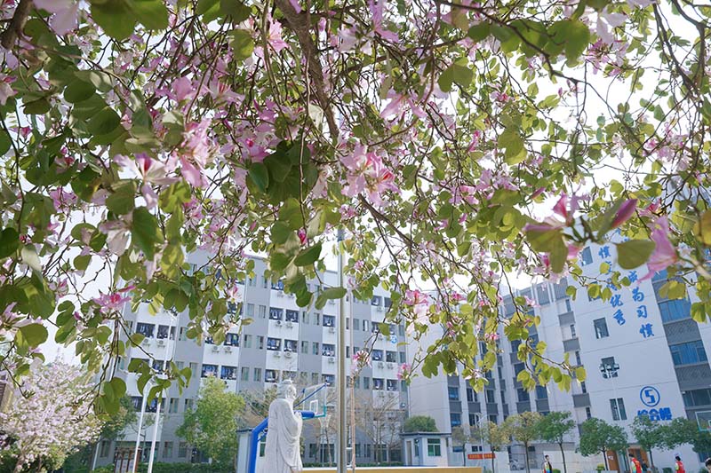 珠海市欧亚技工学校